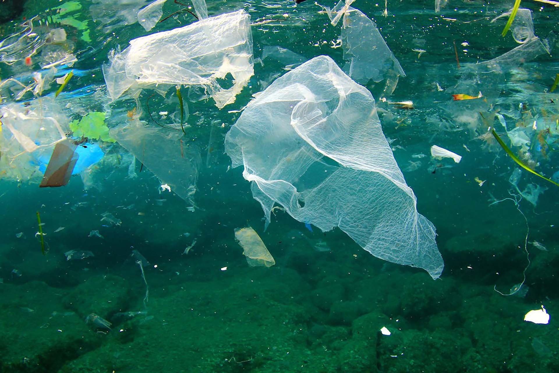Hàng tỷ hạt vi nhựa từ rác thải đang gây ô nhiễm đại dương trầm trọng trong nhiều năm gần đây. (Nguồn: NRDC)