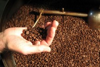 EVFTA ‘chắp cánh’ cho cà phê Việt Nam sang Tây Ban Nha