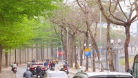 Dự báo thời tiết đêm nay và ngày mai (20-21/3): Hà Nội, Bắc Bộ mưa vài nơi, sáng sớm sương mù nhẹ; nhiều nơi ngày nắng, Đông Nam Bộ nắng nóng