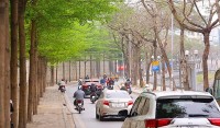 Dự báo thời tiết đêm nay và ngày mai (20-21/3): Hà Nội, Bắc Bộ mưa vài nơi, sáng sớm sương mù nhẹ; nhiều nơi ngày nắng, Đông Nam Bộ nắng nóng