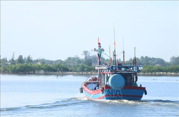 Binh Thuan prepares best conditions to host EC’s IUU-fishing inspection team | Society | Vietnam+ (VietnamPlus)