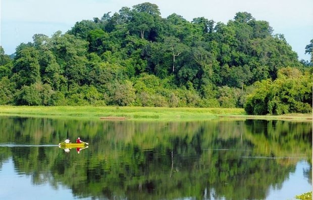Forum marks Int'l Day of Forests  with theme “Healthy Forests for Healthy People”