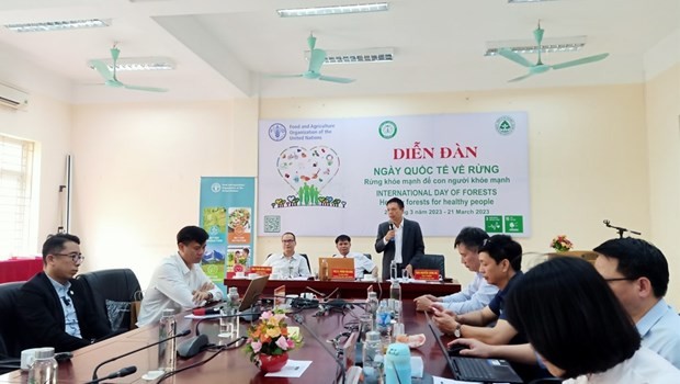 Forum marks Int'l Day of Forests  with theme “Healthy Forests for Healthy People”