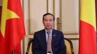 Đại sứ Nguyễn Văn Thảo: Việt Nam-Bỉ cùng đắp xây mối quan hệ 50 năm tin cậy, thực chất và hiệu quả