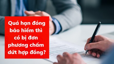 Quá hạn đóng bảo hiểm thì có bị đơn phương chấm dứt hợp đồng?