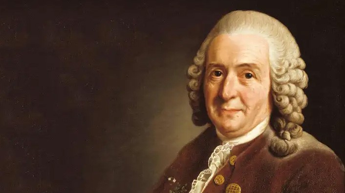 Linné - nhà thực vật học, nhà văn du ký