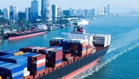 Xuất khẩu ngày 20-24/3: Đẩy mạnh đàm phán FTA, thúc đẩy đưa hàng Việt vào thị trường Mỹ Latinh; giá gạo xuất khẩu tăng vọt
