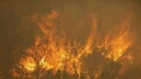 Vụ cháy rừng đầu tiên trong năm gây thiệt hại nặng nề cho Tây Ban Nha