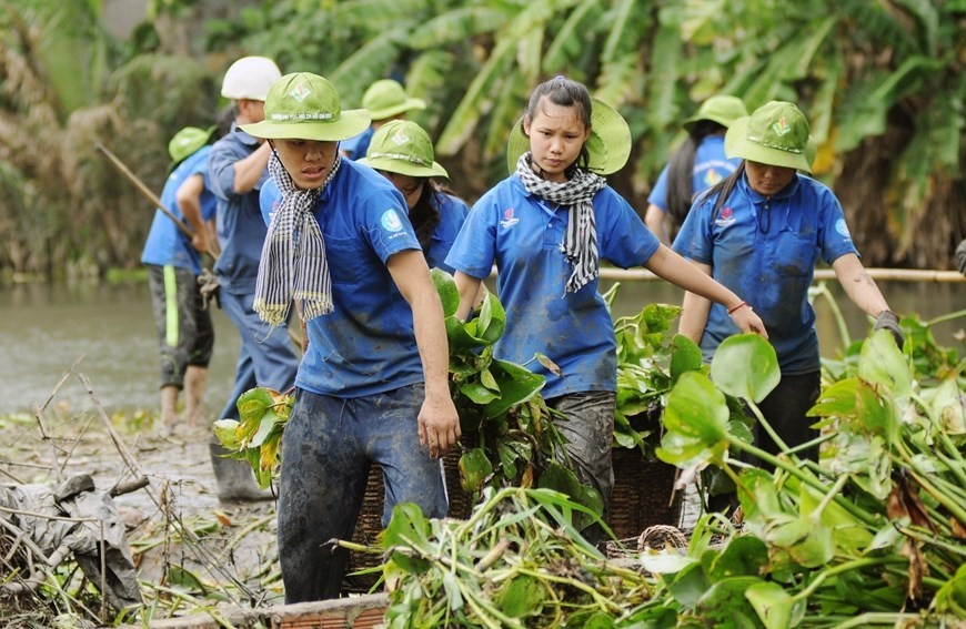 Young people and students volunteer to collect water hyacinth to clear Ong Tong Canal in Go Vap district, HCM City. (Photo: VNA)