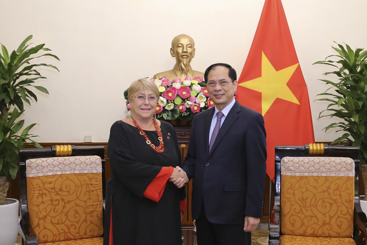 Bộ trưởng Ngoại giao Bùi Thanh Sơn tiếp Cựu Tổng thống Chile Michelle Bachelet Jeria