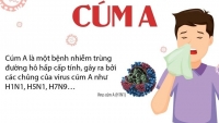 Cúm A: Biểu hiện, triệu chứng và cách phòng bệnh hiệu quả