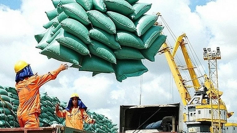 Market diversification crucial for rice sector: Experts