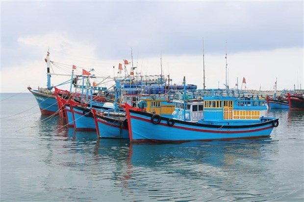 South-central coastal provinces work hard to combat illegal fishing