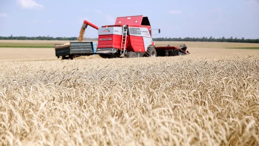 Ba Lan muốn tìm mọi cách hạn chế, thậm chí chặn ngũ cốc từ Ukraine, lý do là gì?
