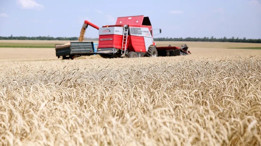 Vì sao Ba Lan hối thúc EU tìm mọi cách hạn chế nhập khẩu ngũ cốc từ Ukraine? (Nguồn: Bloomberg)
