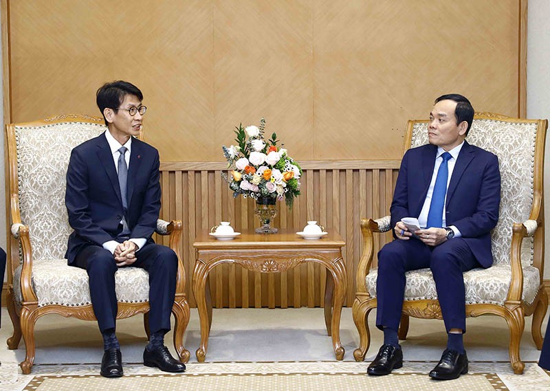 Phó Thủ tướng Trần Lưu Quang tiếp Phó Chủ tịch Công ty LG Display Kim Myoung-kyu. (Nguồn: TTXVN)