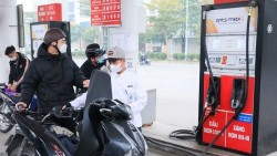 Giá xăng dầu hôm nay 1/4: Khủng hoảng ngân hàng 'hạ nhiệt', giá dầu tăng nhẹ; giá xăng sẽ tăng hay giảm trong kỳ điều hành tới?