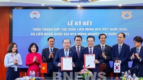 Vietnam, RoK cooperate to support cooperative development