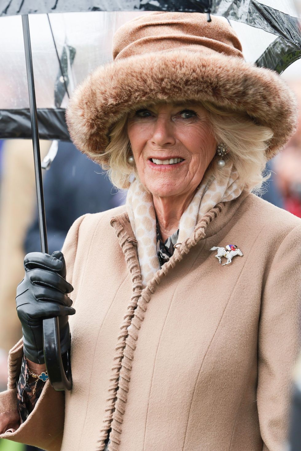 Hoàng gia Anh: Ngắm bộ sưu tập trâm cài áo xa xỉ của Hoàng hậu Camilla