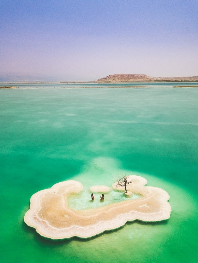 cây cô đơn giữa Biển Chết