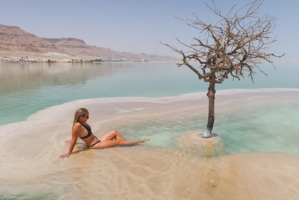 cây cô đơn giữa Biển Chết