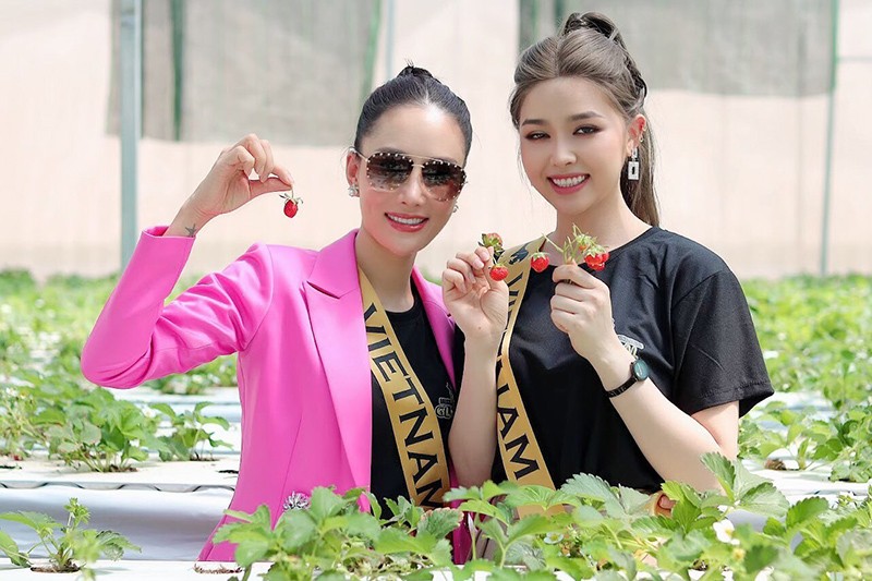 Hoa hậu Đại sứ Doanh nhân – Hoàng Thanh Loan (Bên trái) và thí sinh Nguyễn Thị Thảo thăm quan vườn dâu tại Nông nghiệp sạch Dno.
