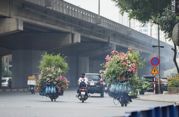 Dự báo thời tiết đêm nay và ngày mai (7-8/4): Hà Nội đêm và sáng trời rét, ngày trời lạnh; vùng núi Bắc Bộ trời rét; Tây Nguyên, Nam Bộ có nắng nogs