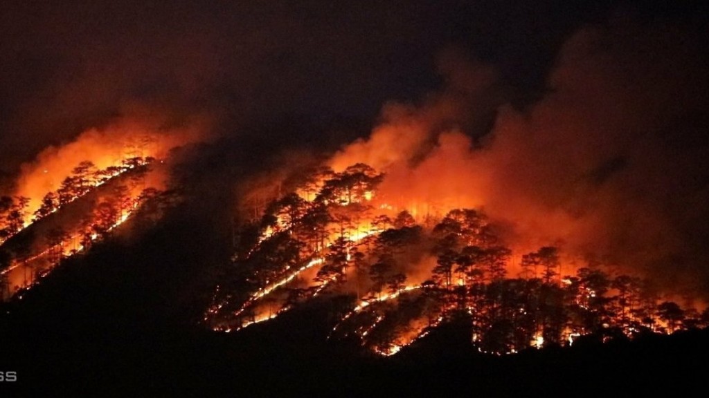 Cháy rừng thông nguyên sinh ở Đà Lạt, 10 ha rừng bị ảnh hưởng