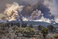 Lượng khí thải CO2 tăng mạnh do cháy rừng ở Bắc bán cầu