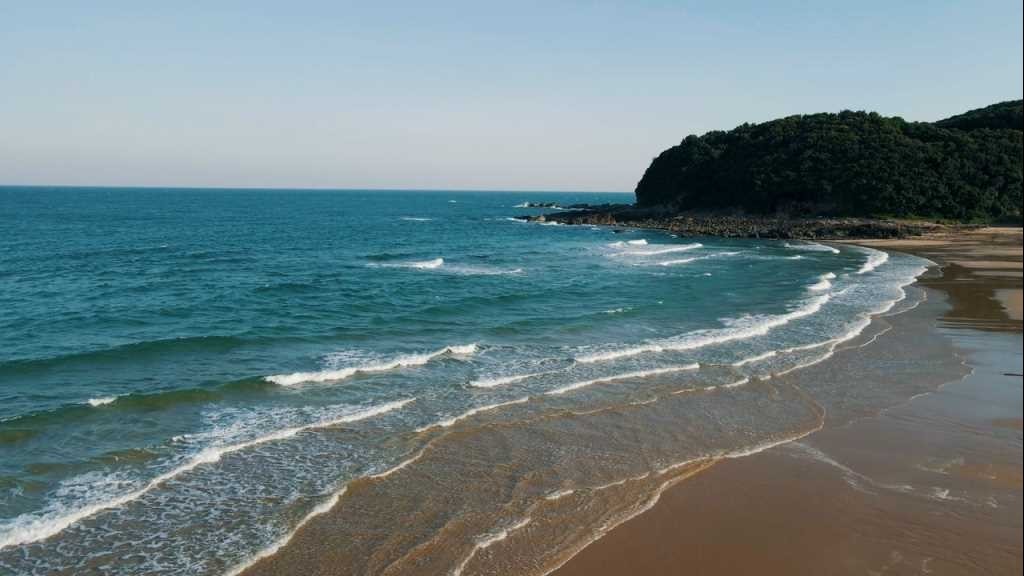 Co To island has launched a variety of novel and appealing tourism products and services