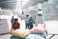 Xuất khẩu ngày 7-9/4: Giá gạo xuất khẩu tăng cao kỷ lục; nhóm hàng chủ lực 'đuối sức'