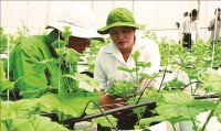 Bình Phước quyết tâm phát triển kinh tế nông nghiệp  hiệu quả cao, sinh thái và bền vững