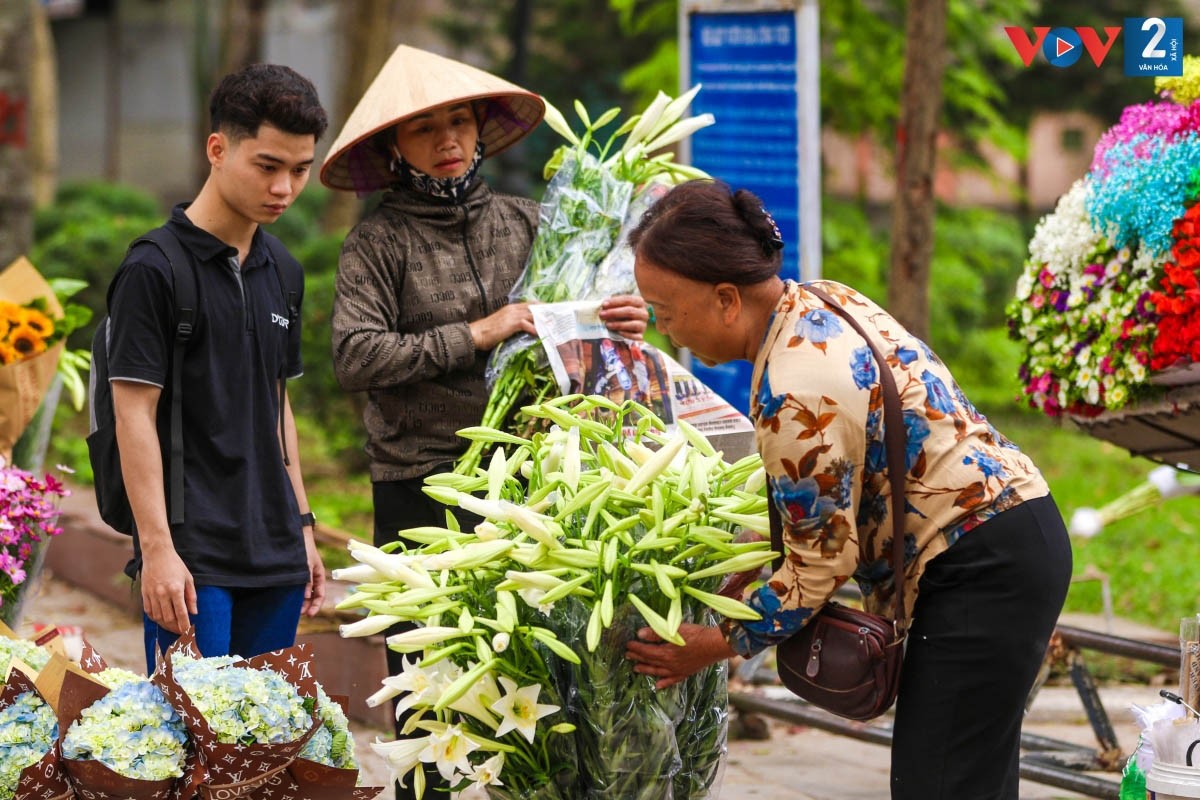 This is a typical flower of Hanoi. (Photo: VOV)