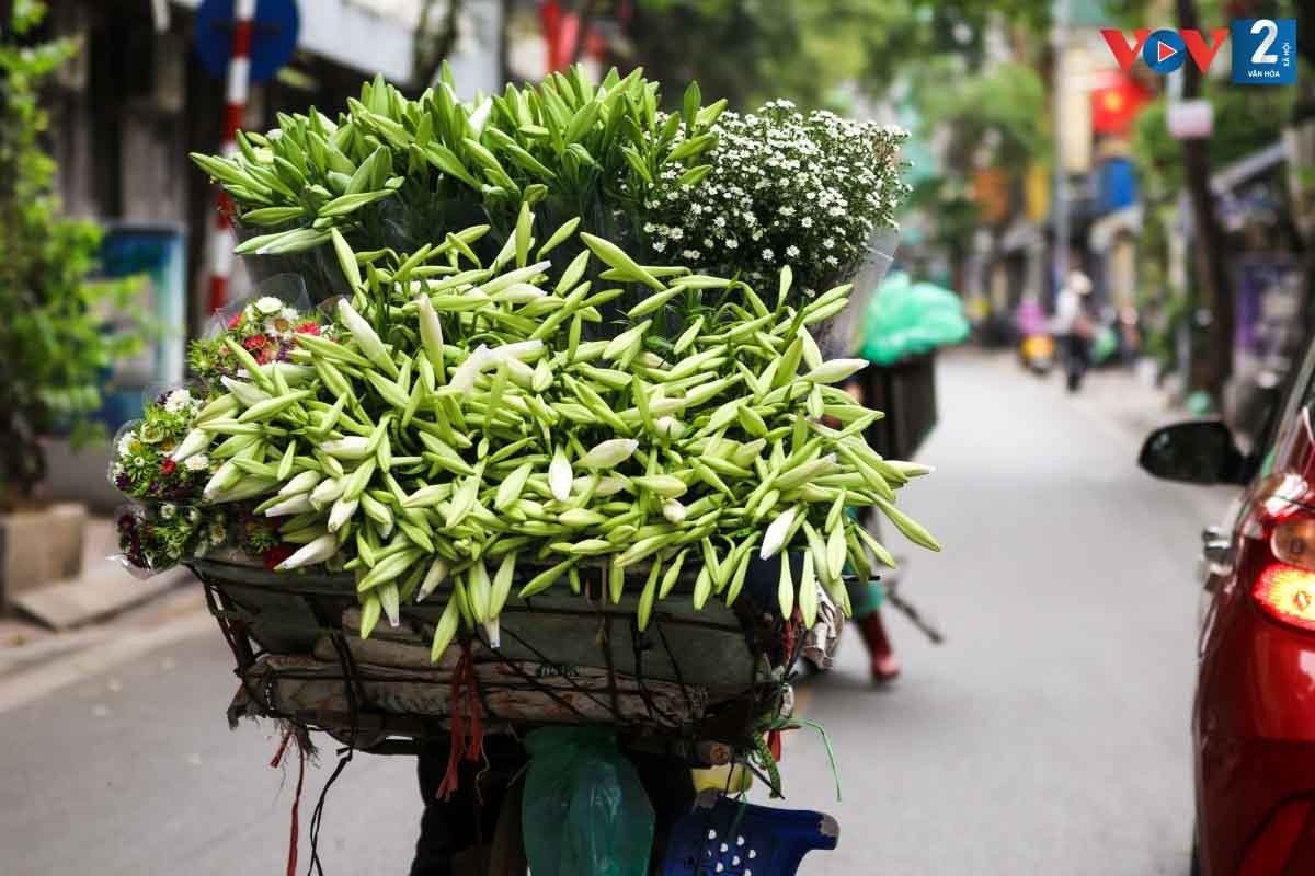 The flower are arranged neatly on bicycles, waiting for buyers.