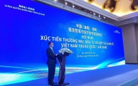 Mở rộng hợp tác, giao lưu thương mại giữa Việt Nam và tỉnh Hải Nam (Trung Quốc)