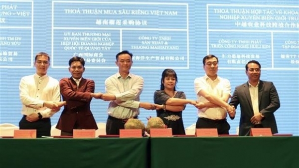 HCM City, China’s Guangxi boost trade cooperation: Investment & Trade Promotion Centre