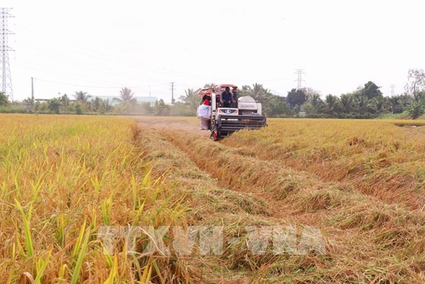 Global Conference on Sustainable Food Systems to open