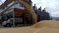 Ukraine và Ba Lan đàm phán về lệnh cấm ngũ cốc, tương lai sáng kiến ngũ cốc ở Biển Đen ra sao?