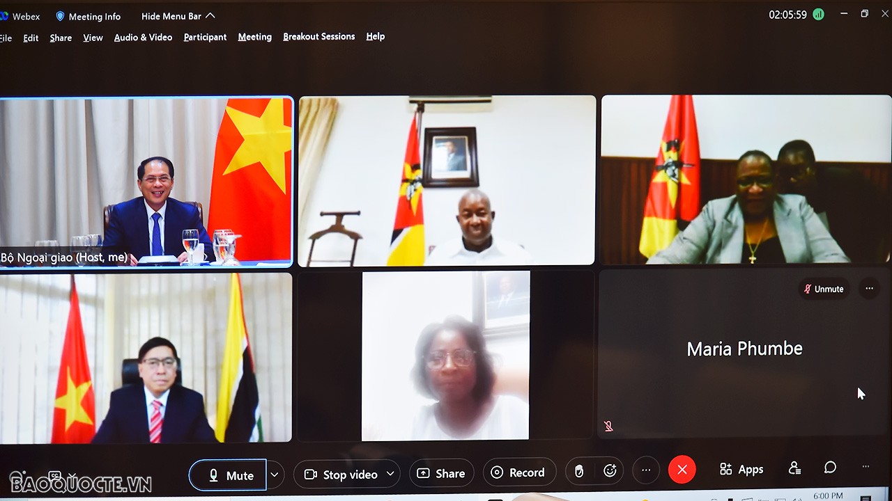 Bộ trưởng Ngoại giao Bùi Thanh Sơn hội đàm trực tuyến với Bộ trưởng Ngoại giao và Hợp tác Mozambique