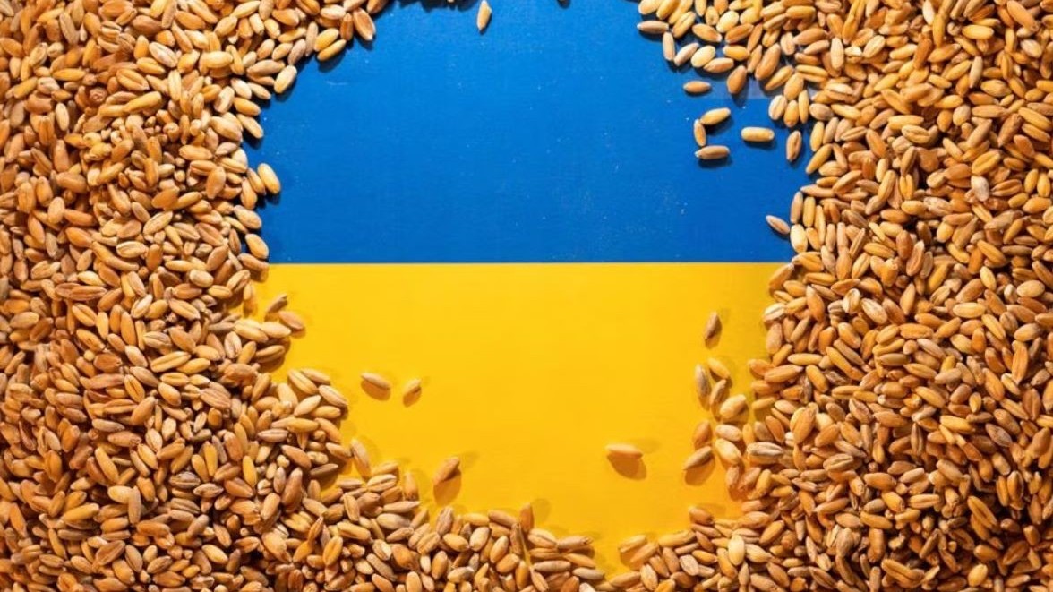 Sáng kiến biển Đen sắp hết hiệu lực, ngũ cốc bị từ chối, Ukraine phải làm việc này với Ba Lan