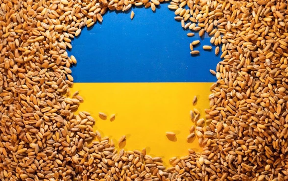Sáng kiến biển Đen sắp hết hiệu lực, ngũ cốc bị từ chối, Ukraine phải làm việc này với Ba Lan. Ảnh minh họa. (Nguồn: Reuters)