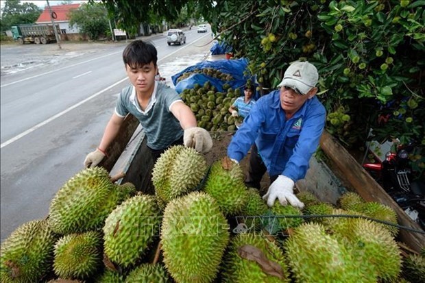 Bright prospect for fruit, vegetable exports in Q2