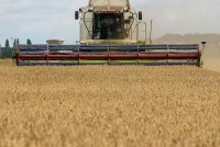Tình hình Ukraine: Nga nêu ưu tiên ở Belgorod, Kiev cáo buộc Moscow đình chỉ thỏa thuận ngũ cốc