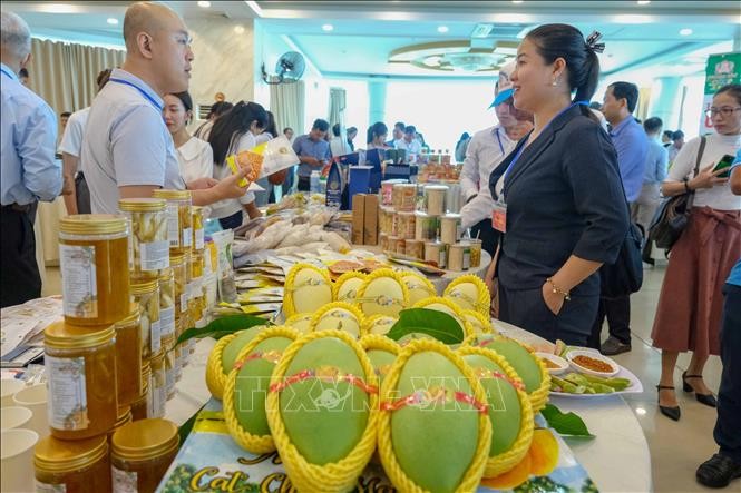 Vietnam-China trade exchange opens in Can Tho. (Photo: VNA)