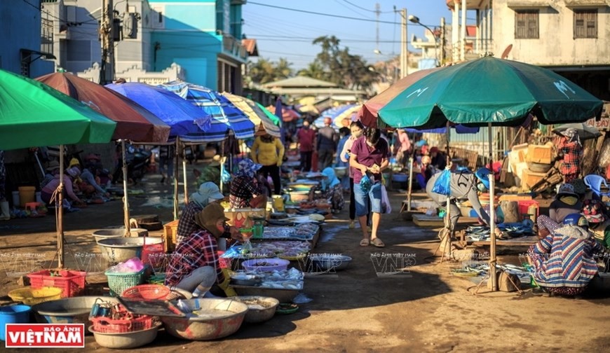 A wide range of fresh seafood are on sale at Nai market. (Photo: VNA)