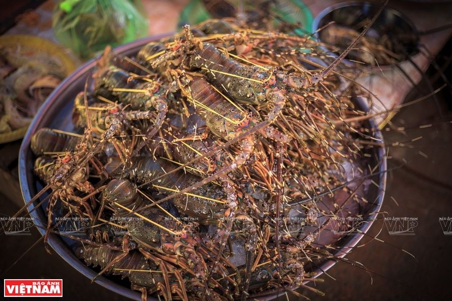 Lobster at the fish market. (Photo: VNA)