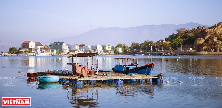 The people raise aquatic species such as shrimp, crab, oysters, snails, and fish. (Photo: VNA)