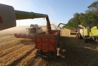 Nga khẳng định sẵn sàng khôi phục thỏa thuận ngũ cốc, nhưng các yêu cầu phải được đáp ứng