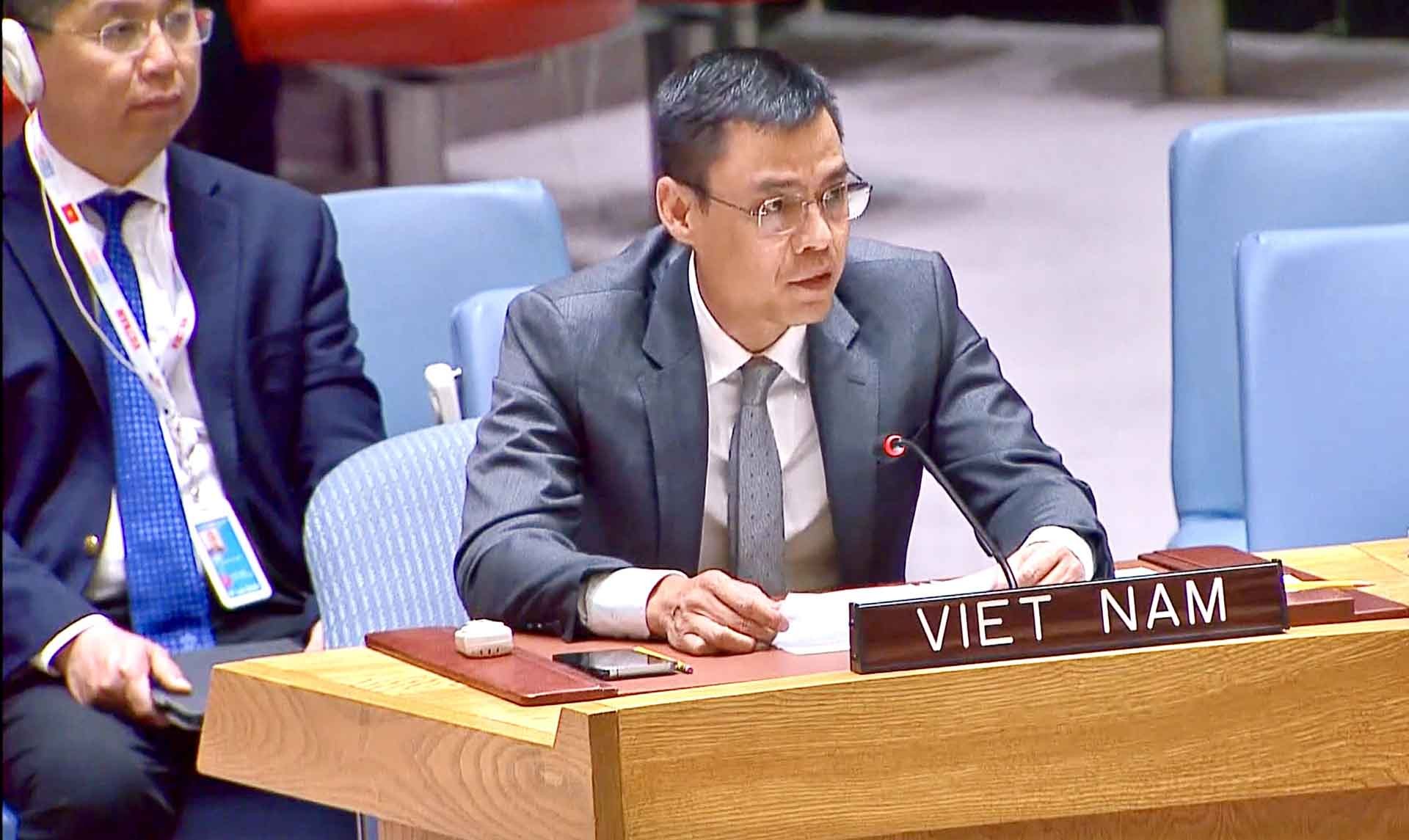 Đại sứ Đặng Hoàng Giang phát biểu tại phiên thảo luận.