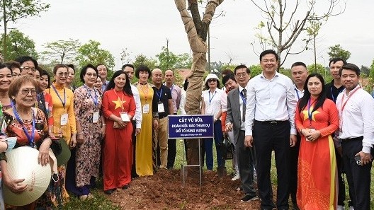 Thứ trưởng Phạm Quang Hiệu: Công tác đại đoàn kết, hòa hợp dân tộc đã đạt nhiều kết quả quan trọng